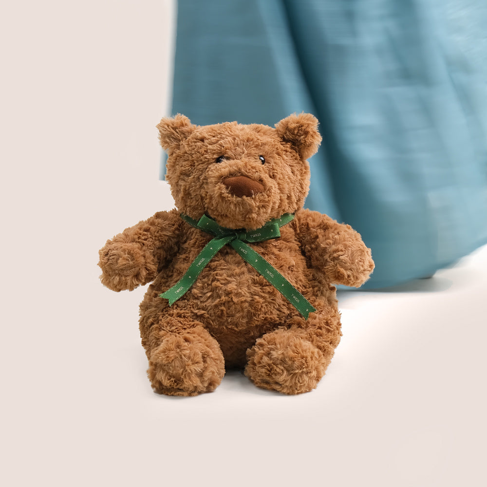 Box of Green Chrysanthemums & Hydrangea & Teddy Bear Bundle – A Harmonious Gift of Floral Freshness and Comfort