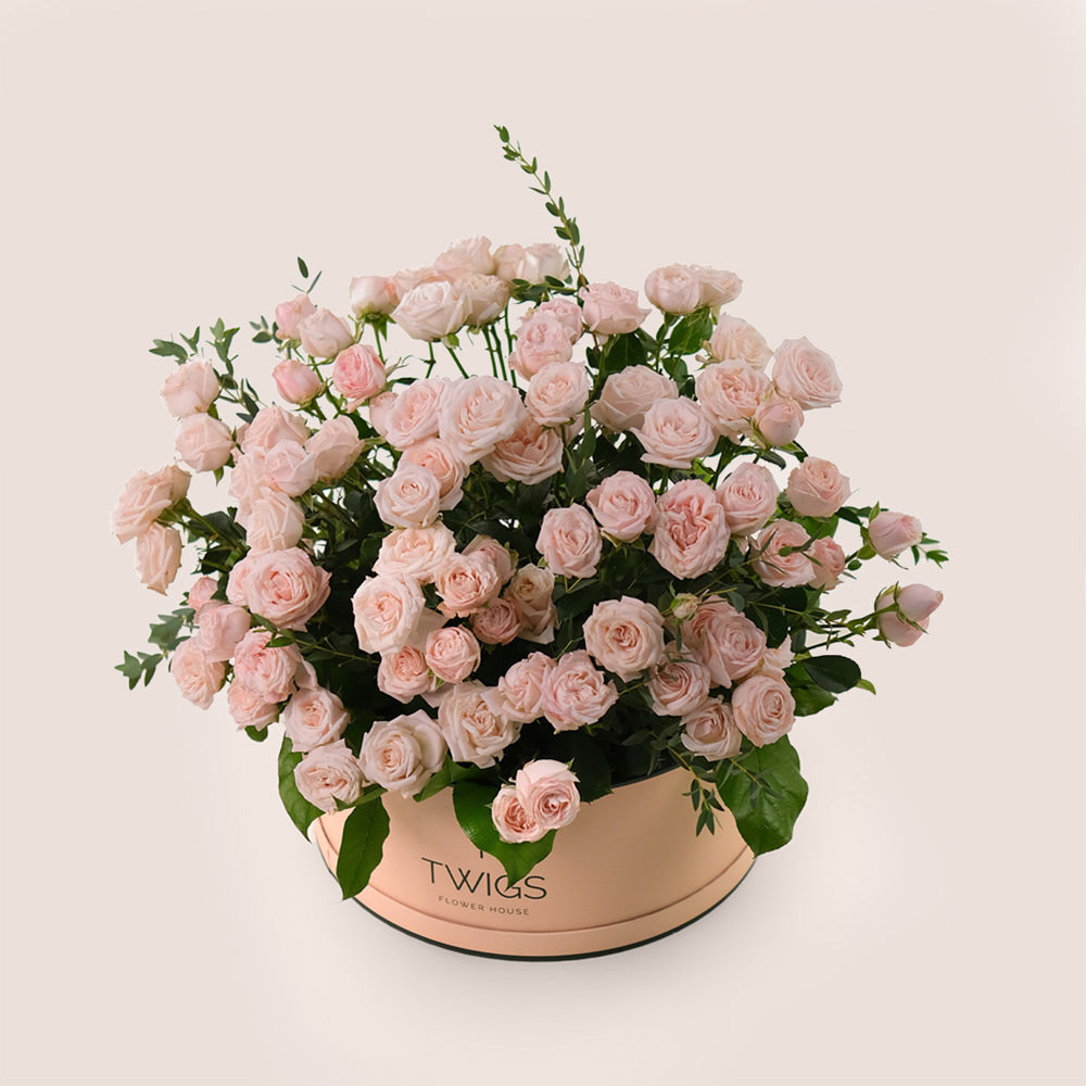 Grande Bombastic Spray Roses Flower Round Box – Soft Elegance Gift