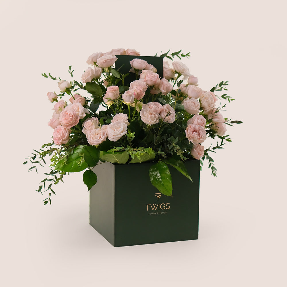 Bombastic Pink Roses – Chic Flower Box Elegance