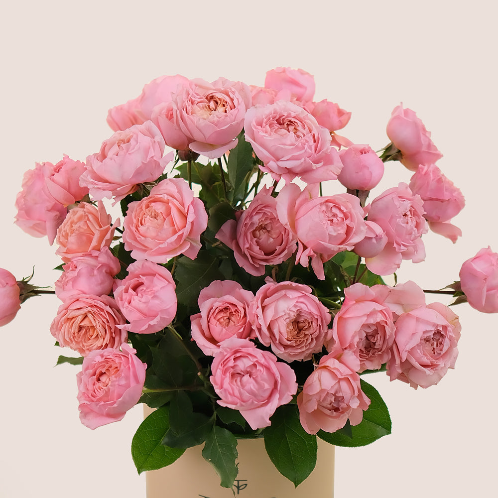 Deluxe Pink Garden Roses Flower Box – A Bouquet of Timeless Elegance