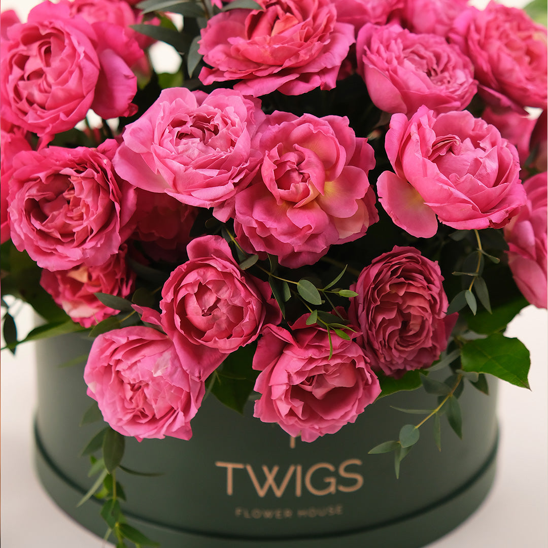 Grande Julieta Cerise Roses Round Box – A Luxurious Display of Vibrant Beauty