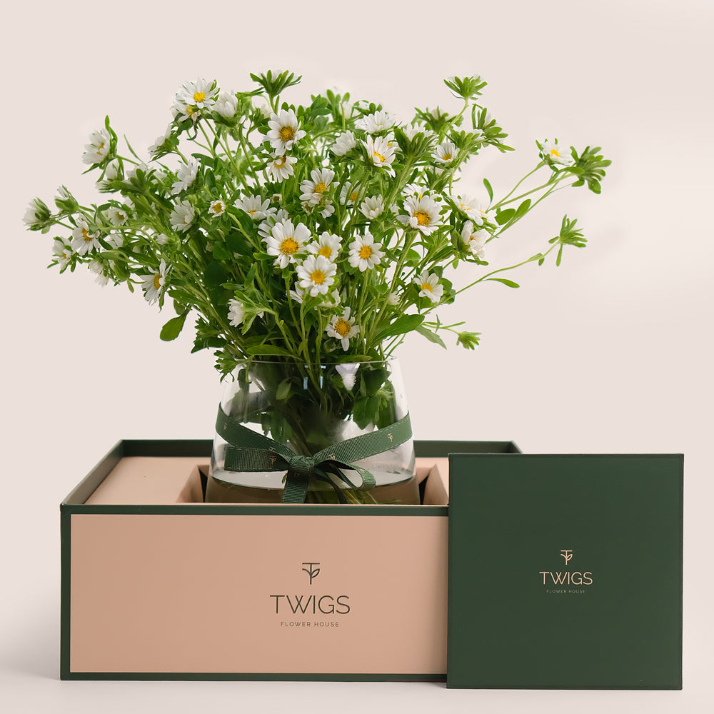White Daisies in Glass Vase | Fresh Flower Arrangement Dubai & UAE