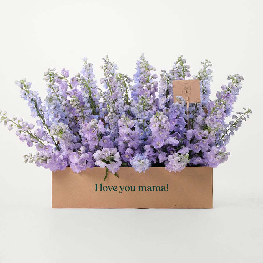 Delphinium Purple Flowers Garden Box