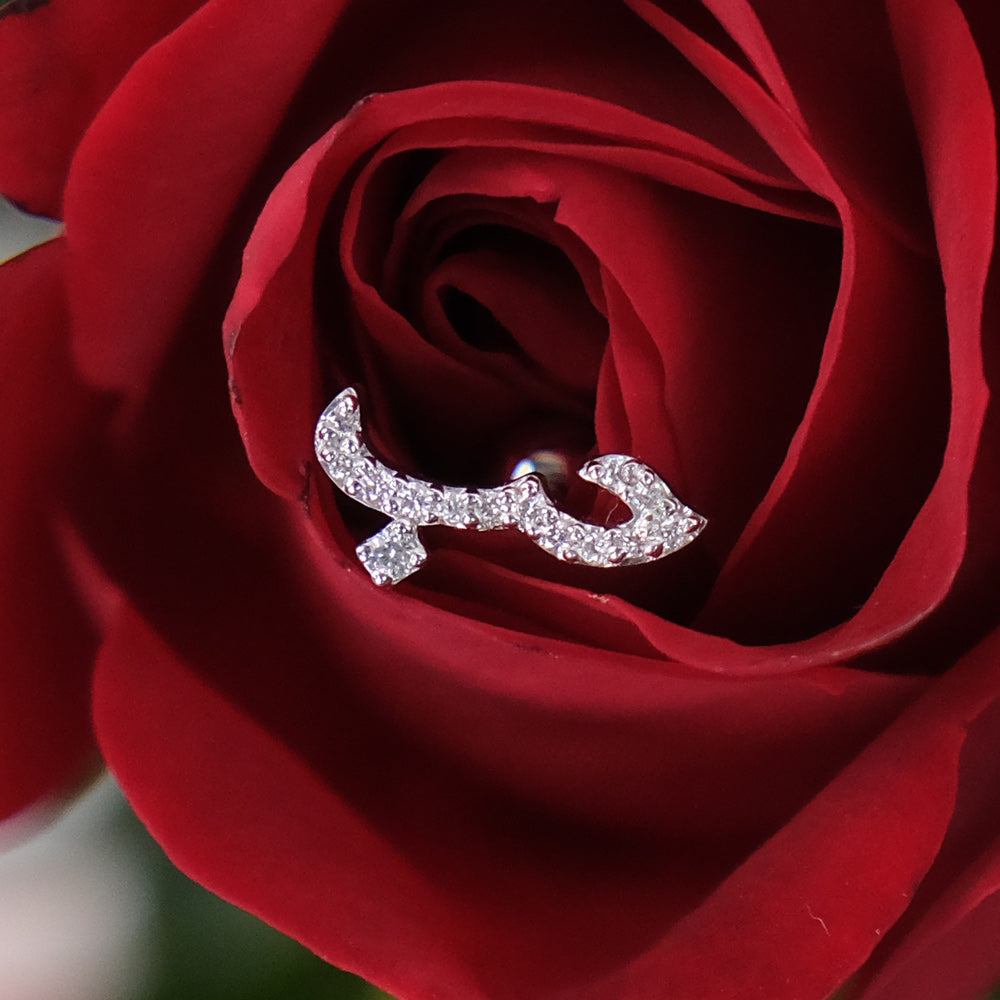 “Love” Diamond حلق - Piercing حب " الفردي" & Red Roses Box Combo
