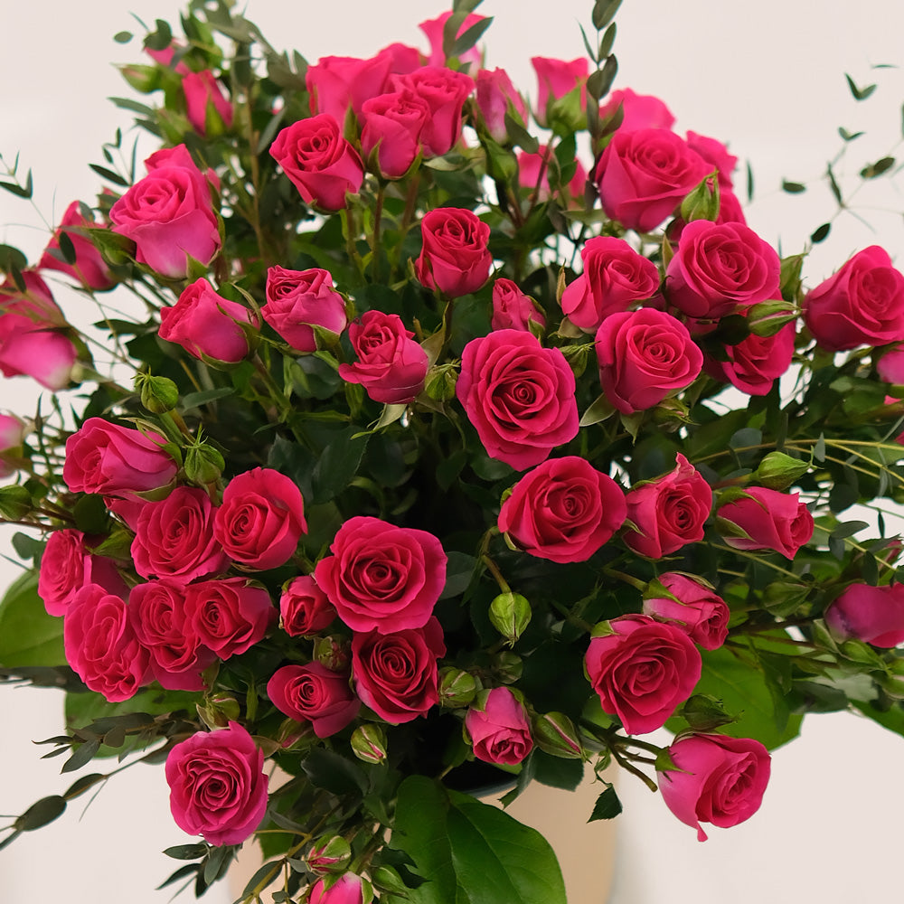 Deluxe Fuchsia Spray Roses Flower Box – A Bold and Elegant Floral Statement