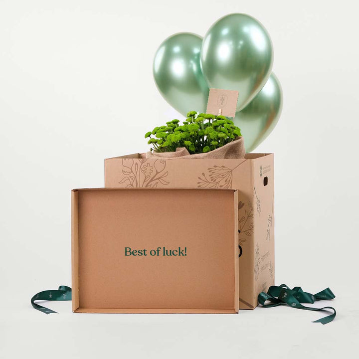 Button Green Flower Surprise box Twigs