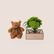 Green Flowers Vase & Teddy Bear Vase Bundle – A Perfect Blend of Nature’s Beauty and Cozy Cuddles