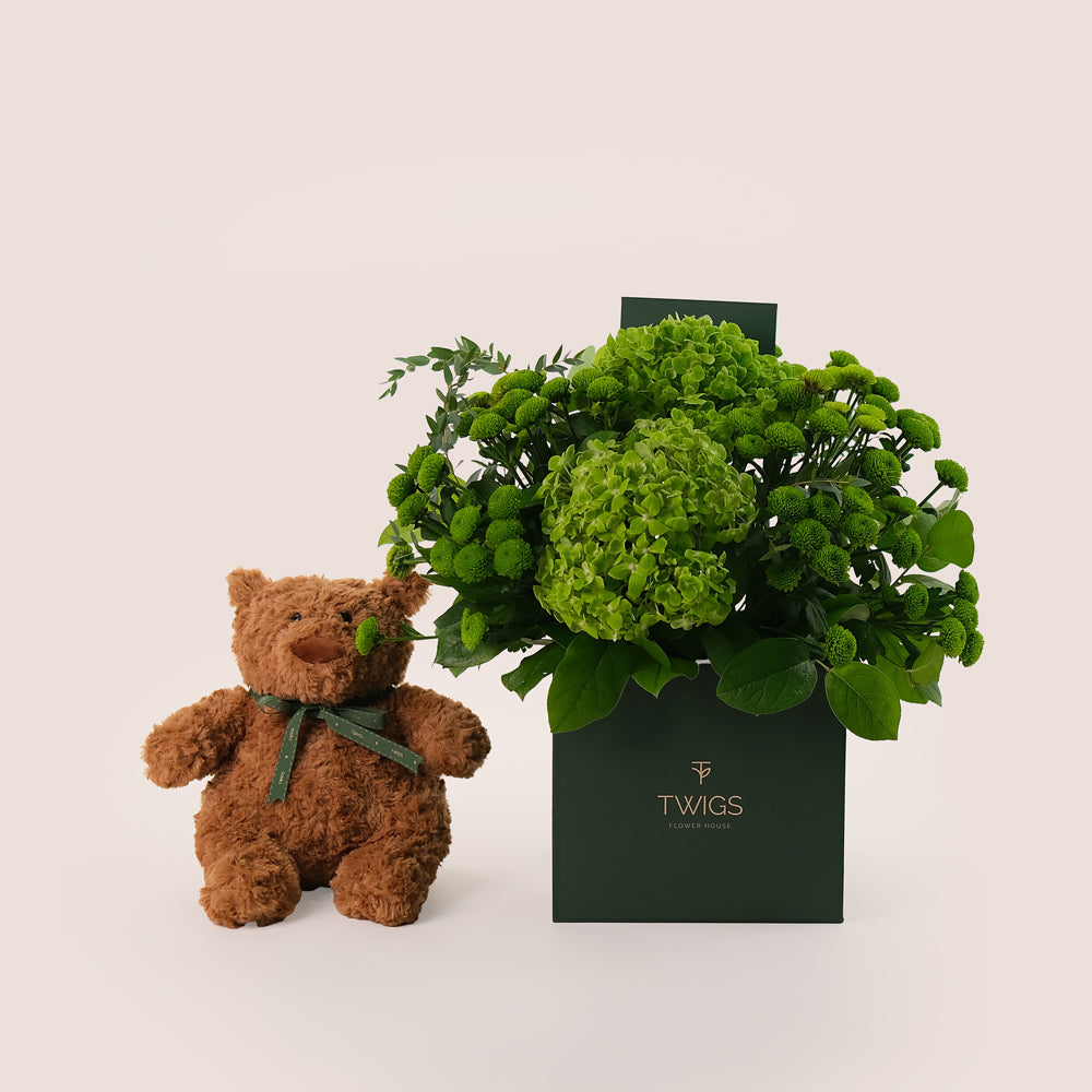 Box of Green Chrysanthemums & Hydrangea & Teddy Bear Bundle – A Harmonious Gift of Floral Freshness and Comfort