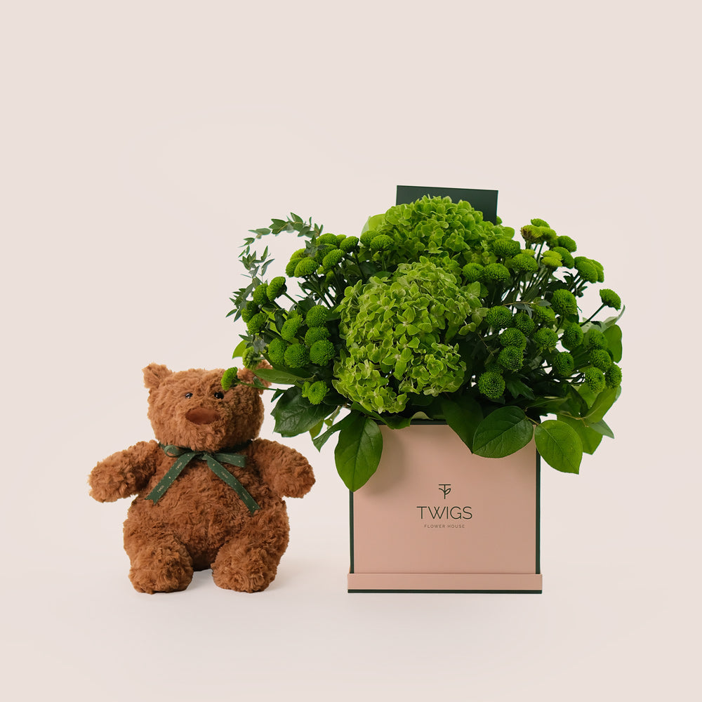 Box of Green Chrysanthemums & Hydrangea & Teddy Bear Bundle – A Harmonious Gift of Floral Freshness and Comfort