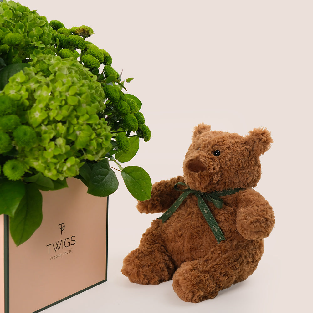 Box of Green Chrysanthemums & Hydrangea & Teddy Bear Bundle – A Harmonious Gift of Floral Freshness and Comfort