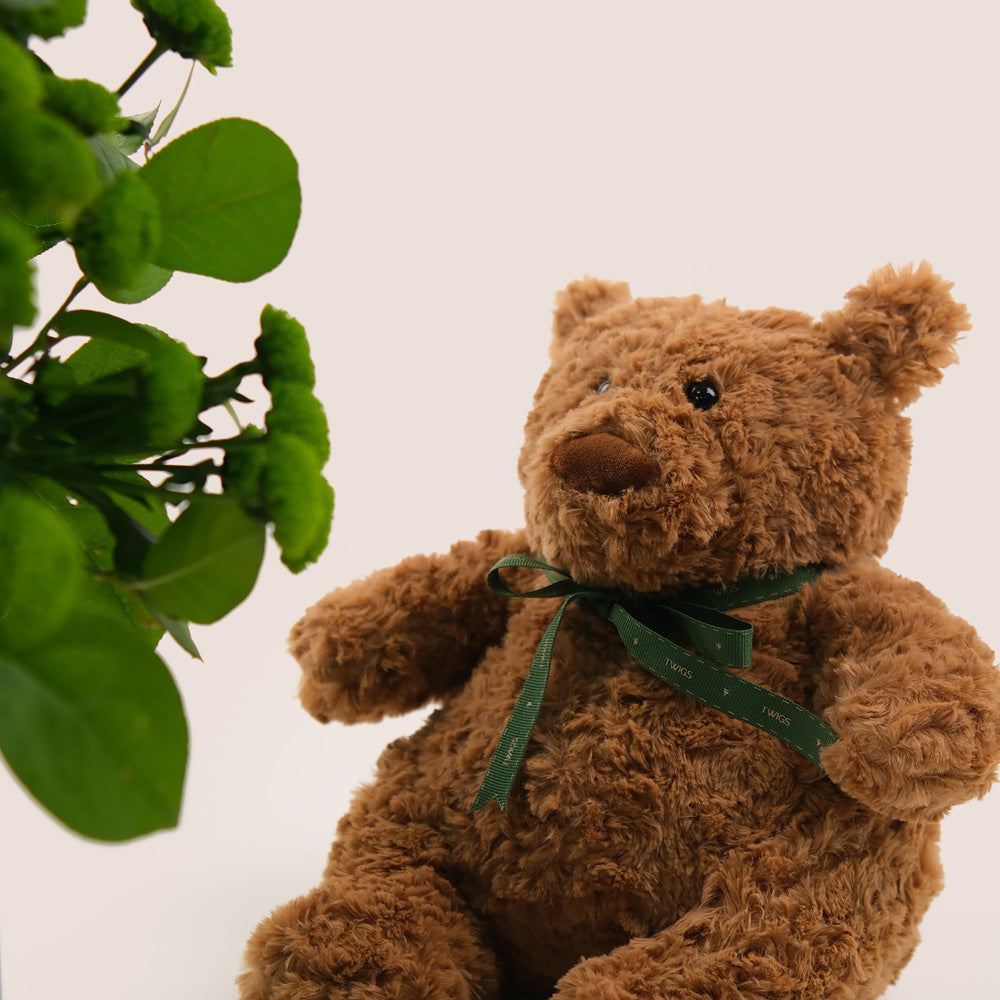 Box of Green Chrysanthemums & Hydrangea & Teddy Bear Bundle – A Harmonious Gift of Floral Freshness and Comfort