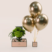 Green Flowers Glass Vase & Gold Balloons Vase Bundle – A Perfect Blend of Natural Beauty and Celebration