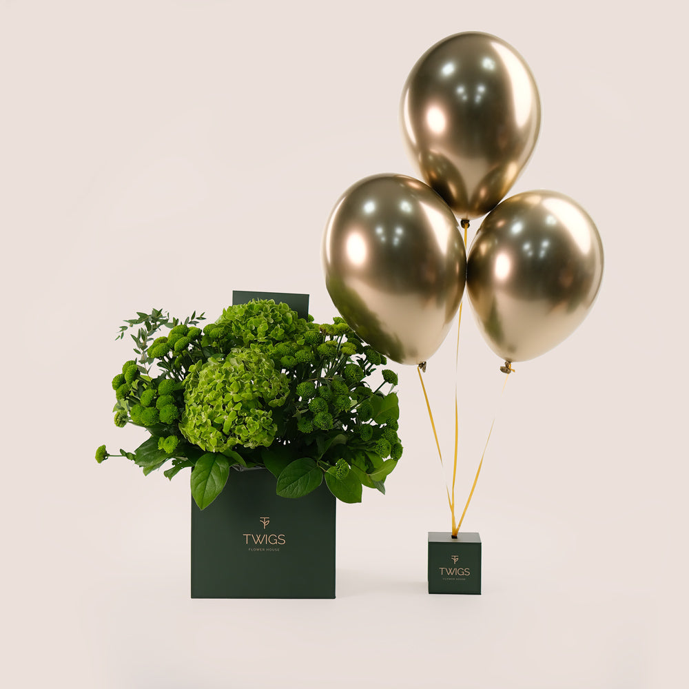 Flower Box of Green Chrysanthemums Hydrangea Flowers & Balloons Bundle – A Refreshing Gift of Elegance and Celebration