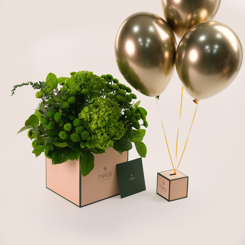 Flower Box of Green Chrysanthemums Hydrangea Flowers & Balloons Bundle – A Refreshing Gift of Elegance and Celebration