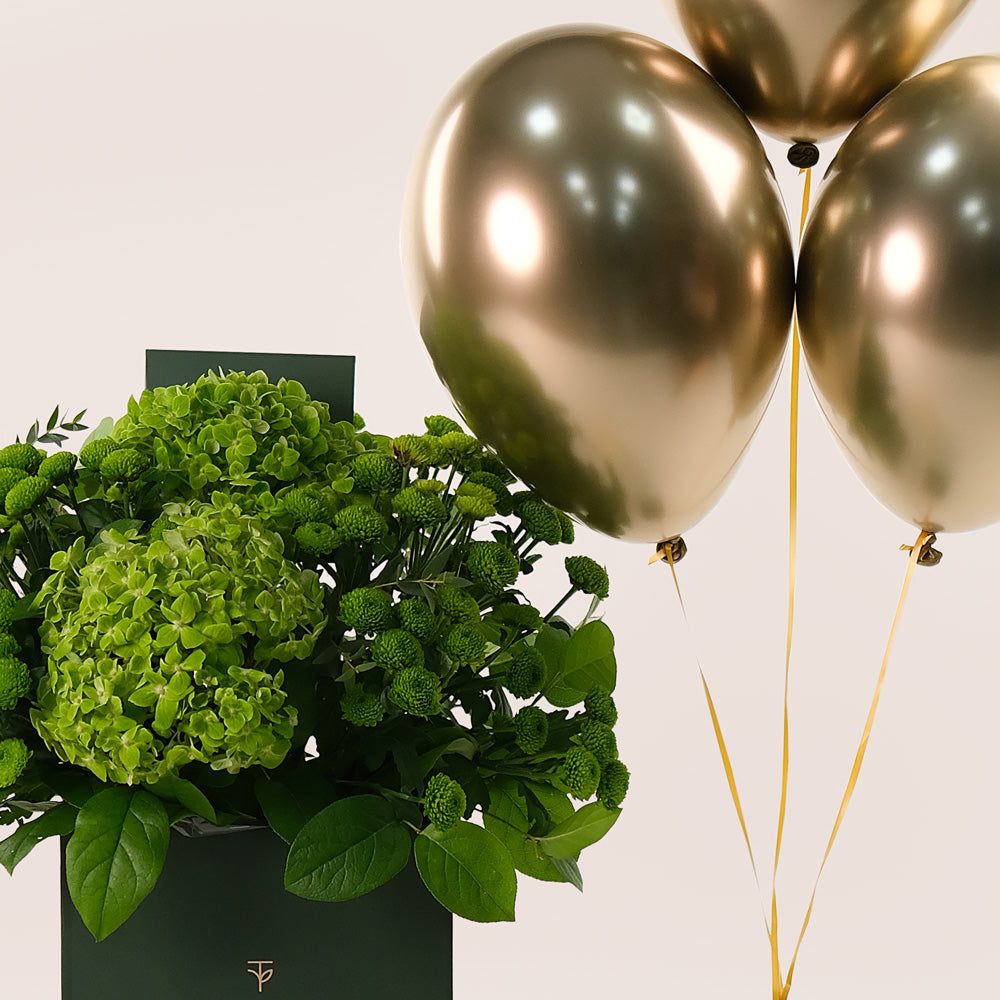 Flower Box of Green Chrysanthemums Hydrangea Flowers & Balloons Bundle – A Refreshing Gift of Elegance and Celebration