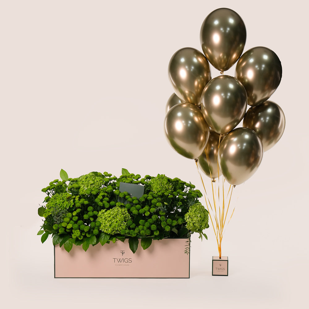 Green Flowers Garden Box & Balloons Bundle – A Luxurious Arrangement of Freshness and Celebration