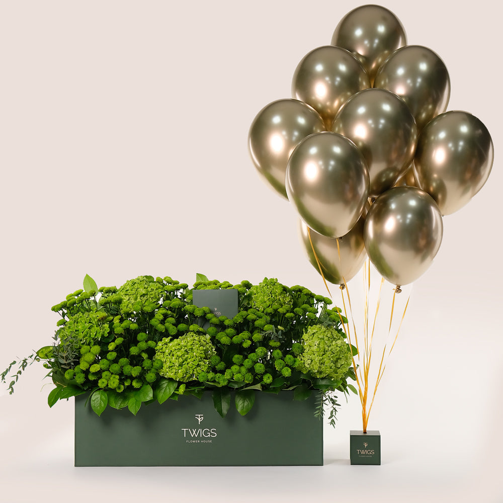 Green Flowers Garden Box & Balloons Bundle – A Luxurious Arrangement of Freshness and Celebration