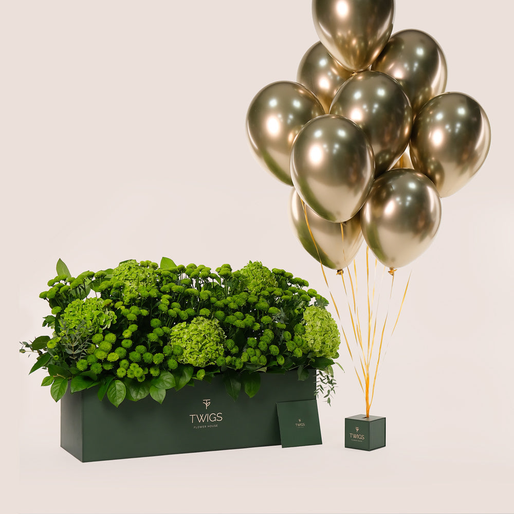 Green Flowers Garden Box & Balloons Bundle – A Luxurious Arrangement of Freshness and Celebration