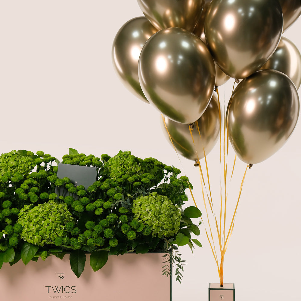 Green Flowers Garden Box & Balloons Bundle – A Luxurious Arrangement of Freshness and Celebration