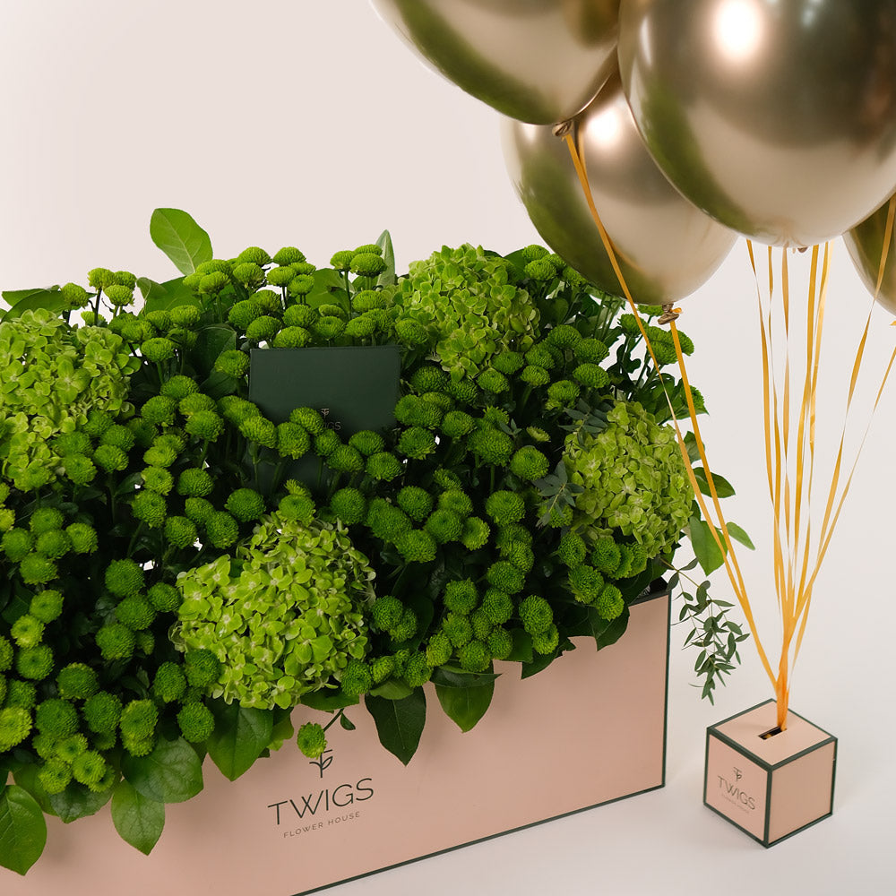 Green Flowers Garden Box & Balloons Bundle – A Luxurious Arrangement of Freshness and Celebration