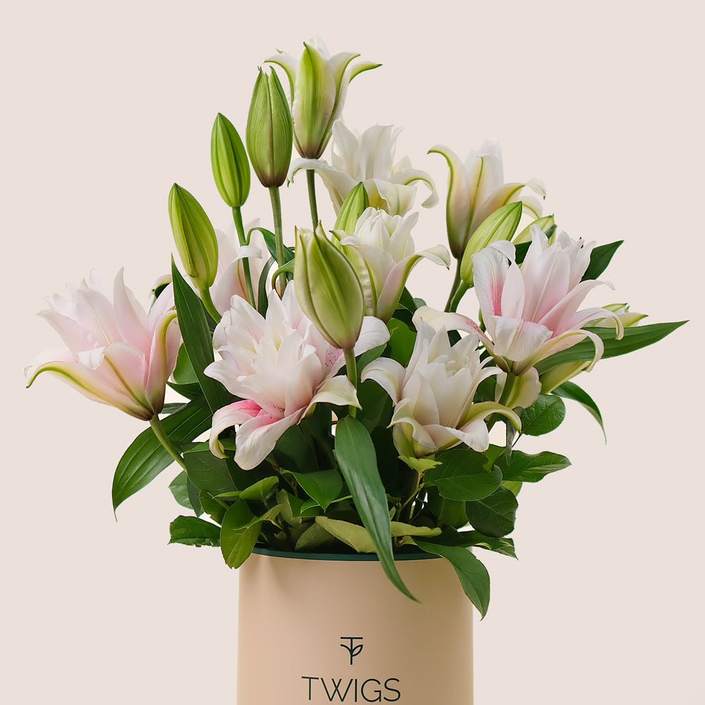 Deluxe Lilies Flower Box – A Graceful Blend of White and Pink Lilies