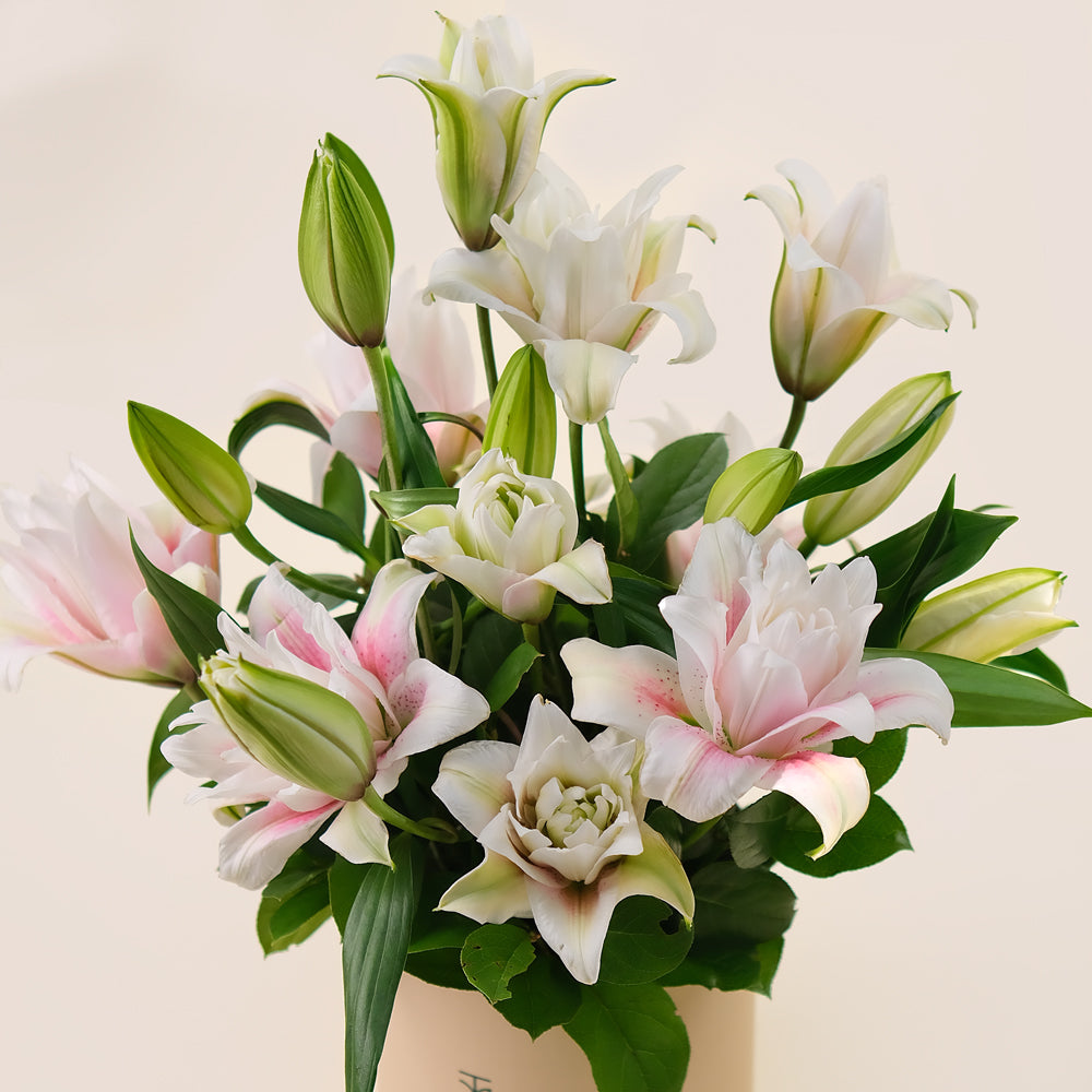 Deluxe Lilies Flower Box – A Graceful Blend of White and Pink Lilies