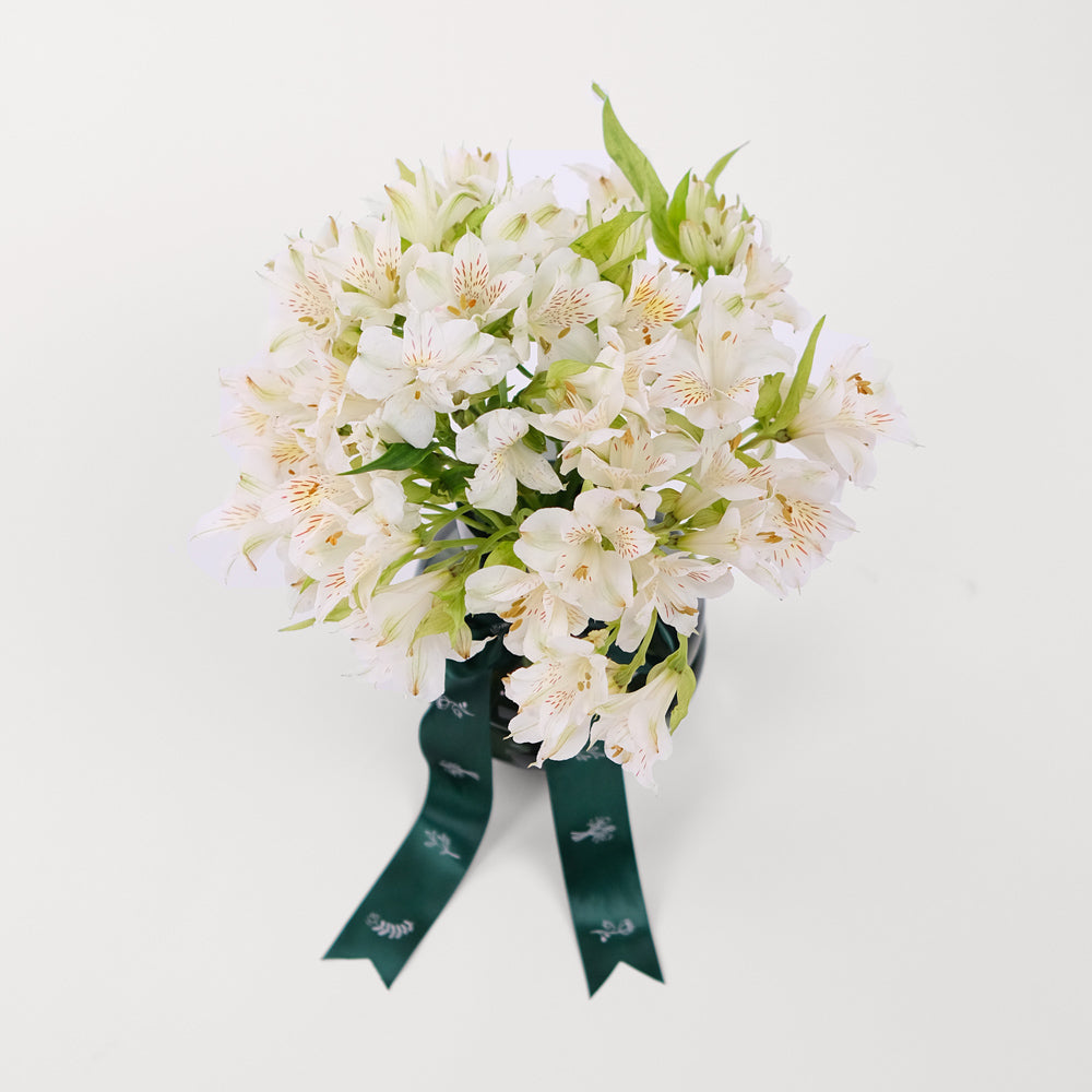 Alstroemeria White Flowers Vase Arrangement