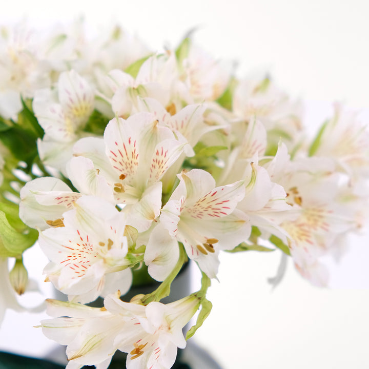 Alstroemeria White Flowers Vase Arrangement