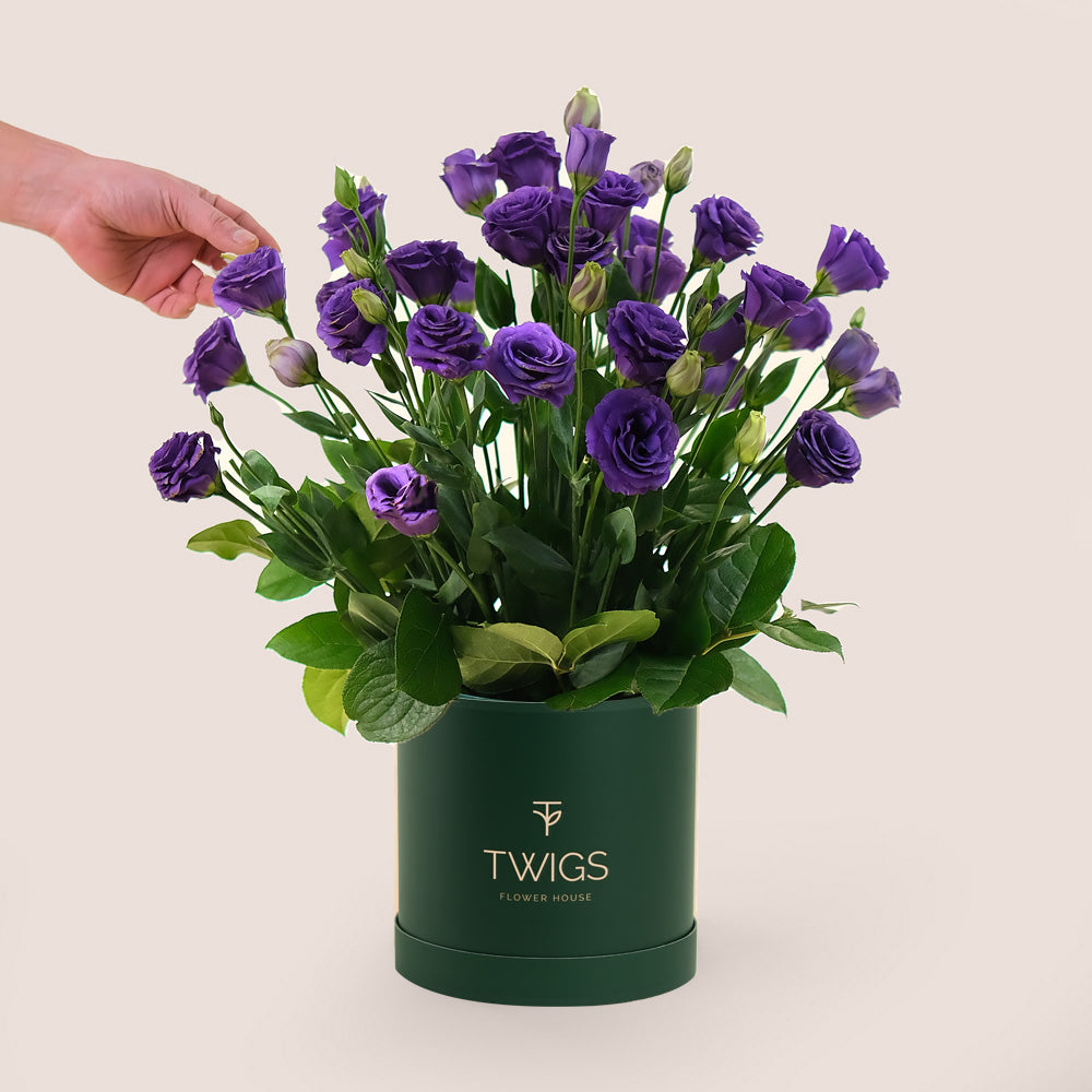 Deluxe Purple Lisianthus Flowers Round Box – A Majestic Display