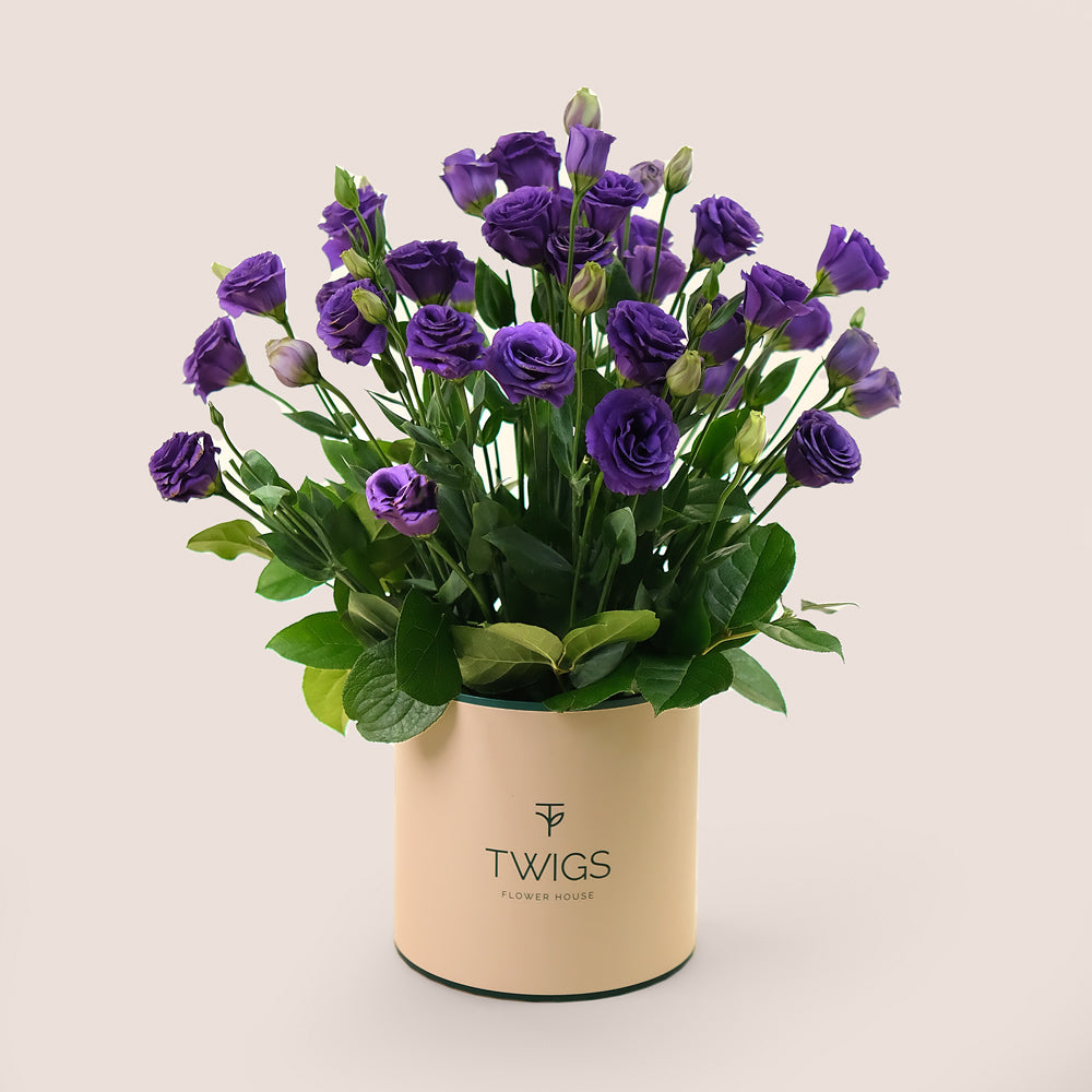 Deluxe Purple Lisianthus Flowers Round Box – A Majestic Display