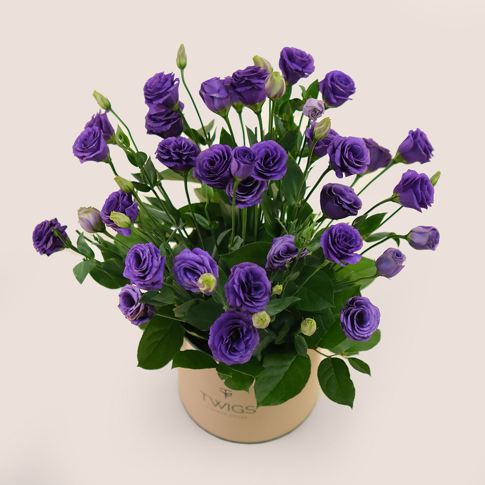 Deluxe Purple Lisianthus Flowers Round Box – A Majestic Display