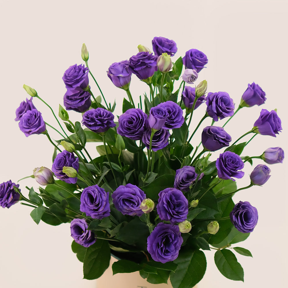 Deluxe Purple Lisianthus Flowers Round Box – A Majestic Display