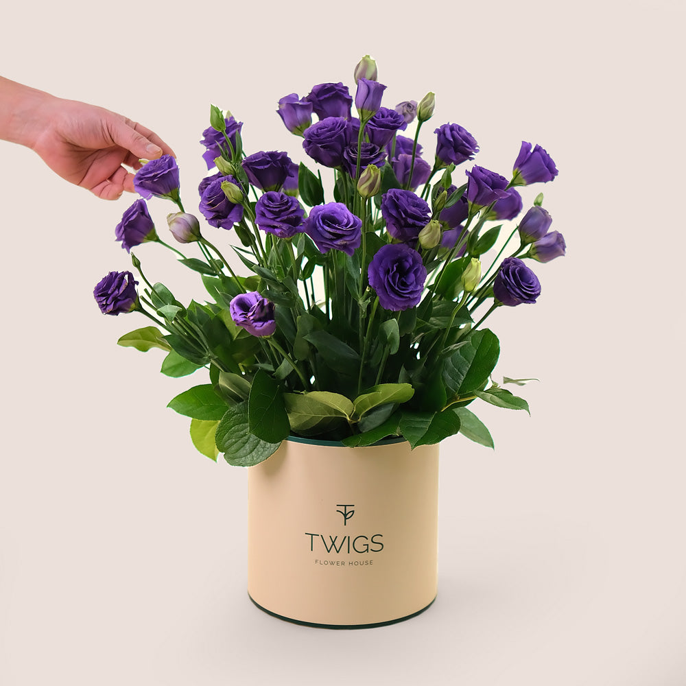 Deluxe Purple Lisianthus Flowers Round Box – A Majestic Display