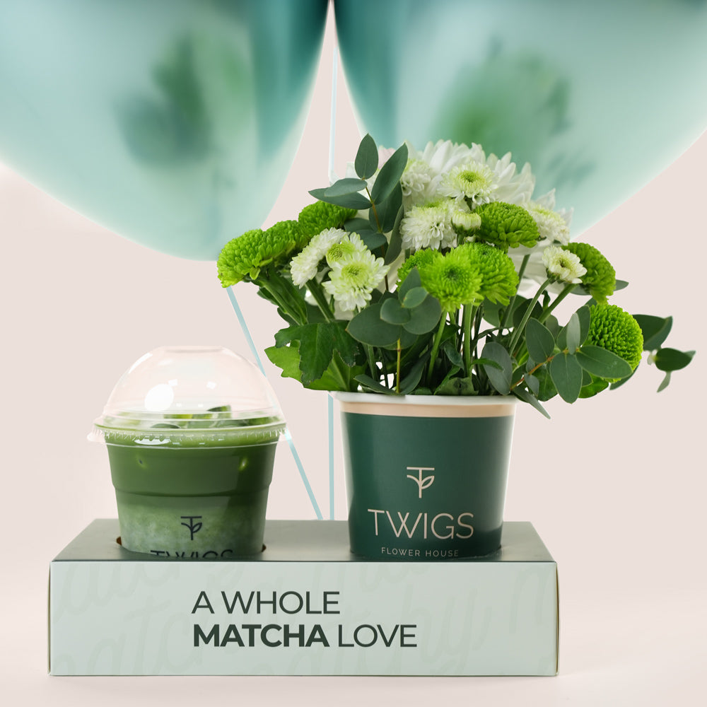 Classic Matcha Bloom Duo with Balloons | Chrysanthemum Cup & Iced Matcha