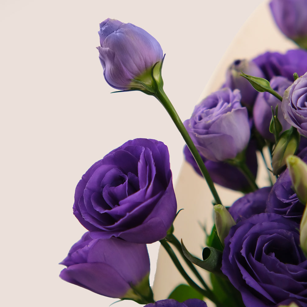 Purple Grace – Bag of Purple Lisianthus Flowers