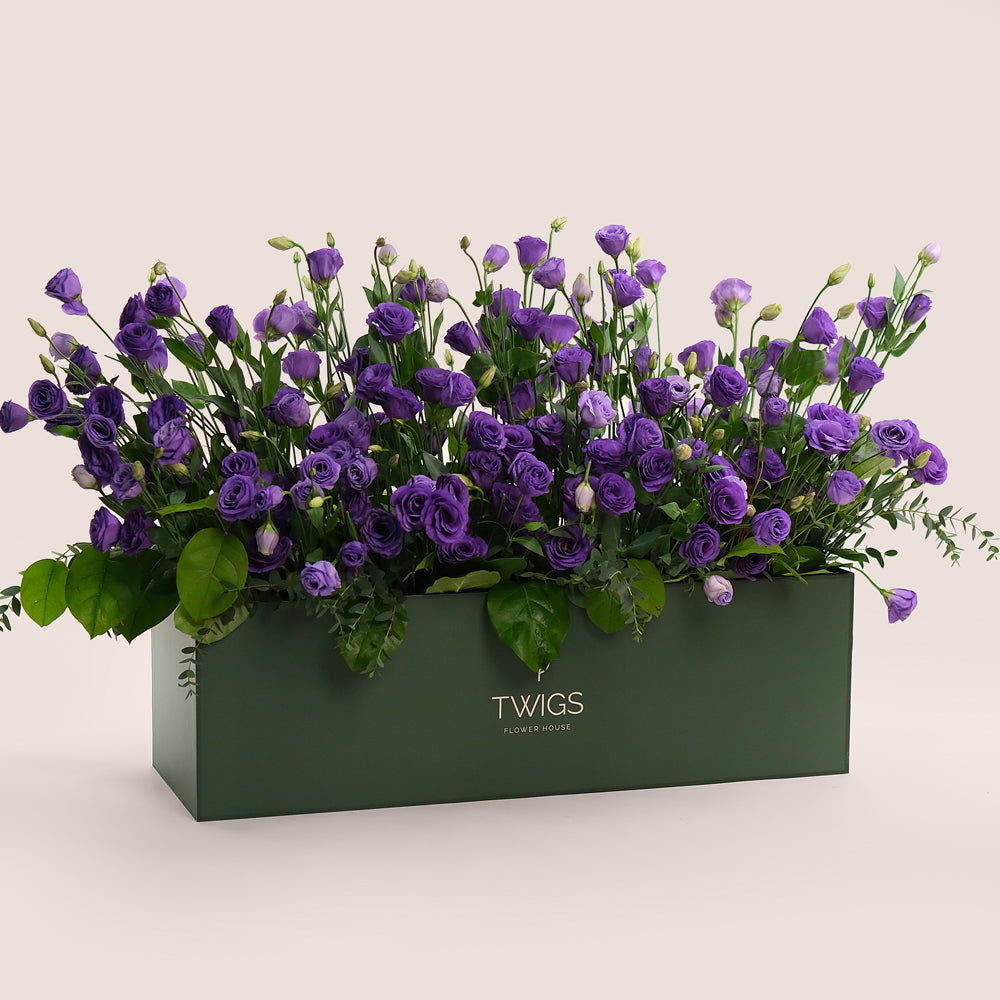 Purple Lisianthus Garden Box with Balloons | Premium Flowers and Balloons Dubai & UAE