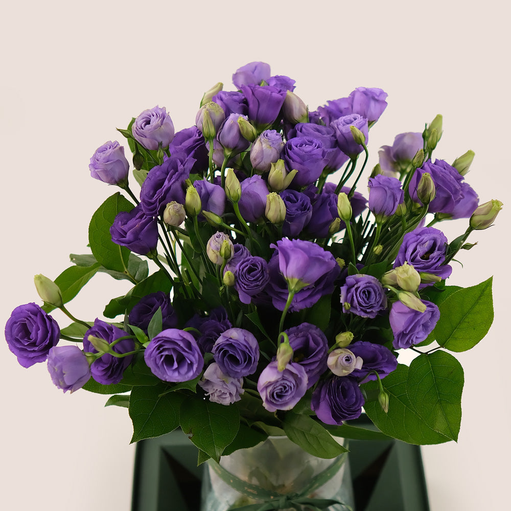 Purple Elegance – Glass Vase of Purple Lisianthus