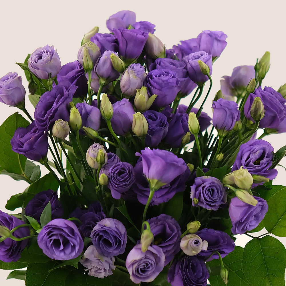 Purple Elegance – Glass Vase of Purple Lisianthus