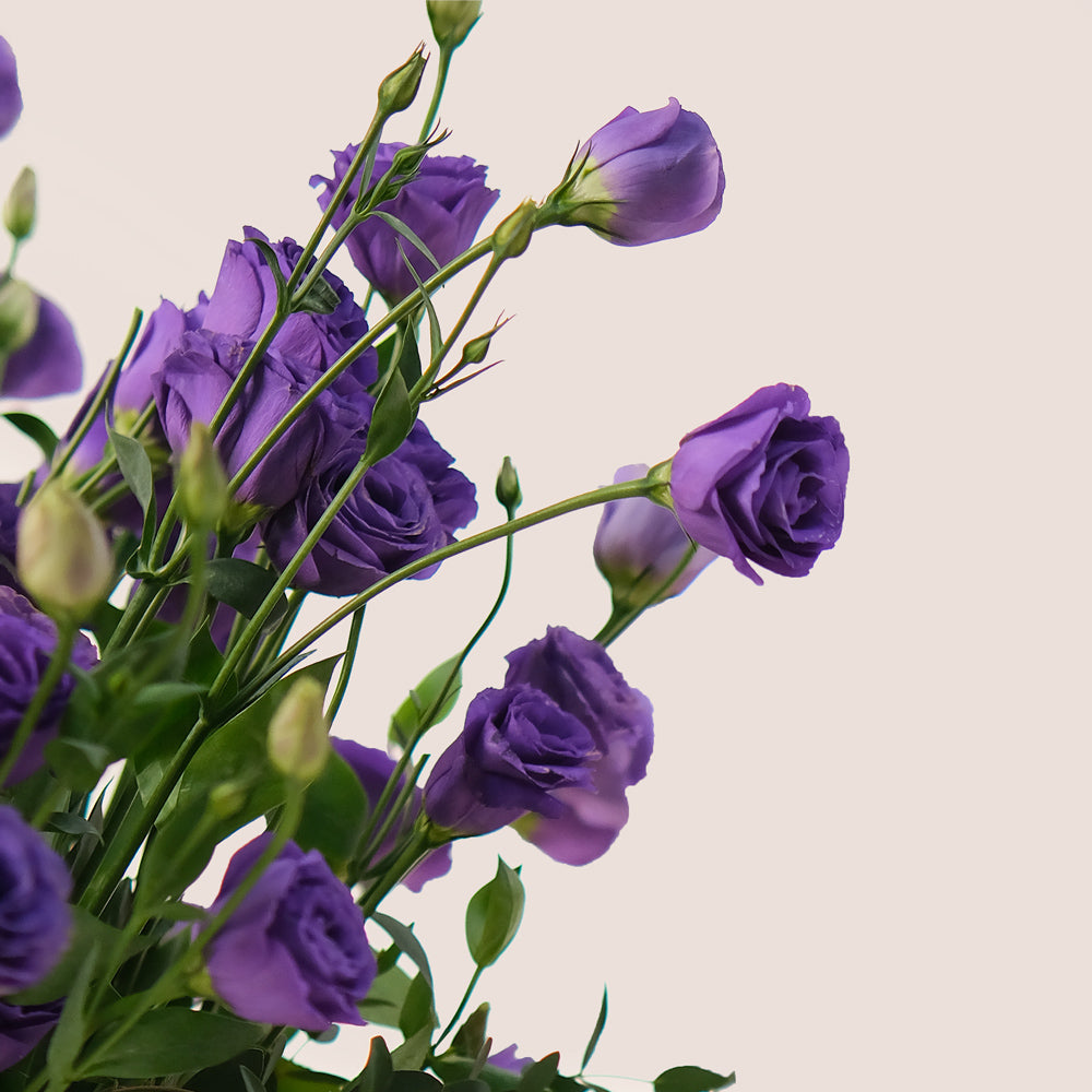 Purple Elegance – Glass Vase of Purple Lisianthus