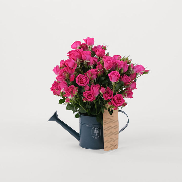 Fuschia Flowers TWIGS-it Can