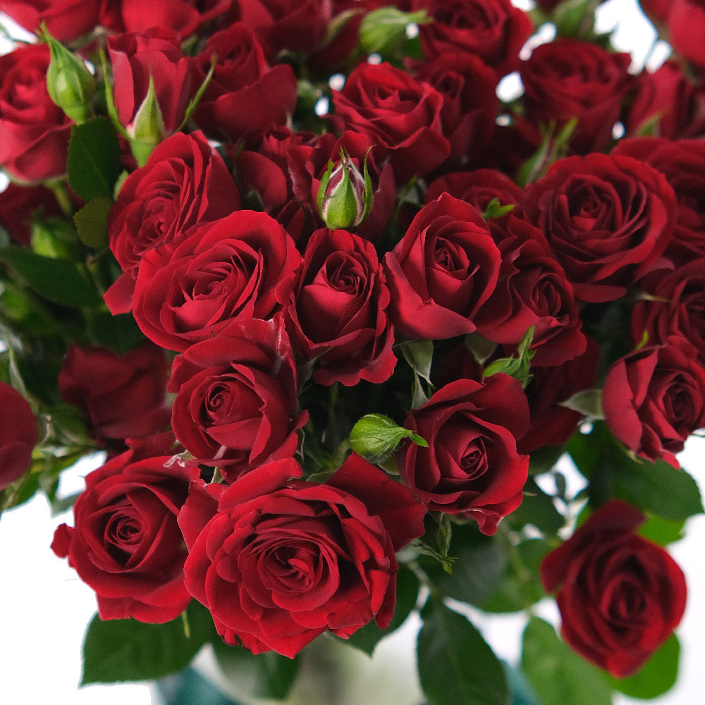 Spray Rose Red Flower Vase
