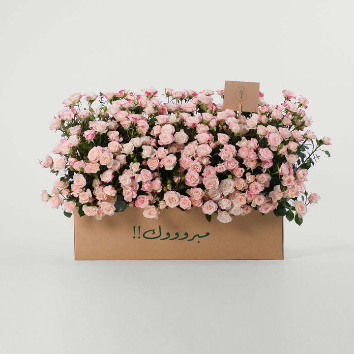 Reflex Spray Rose Flowers Garden Box