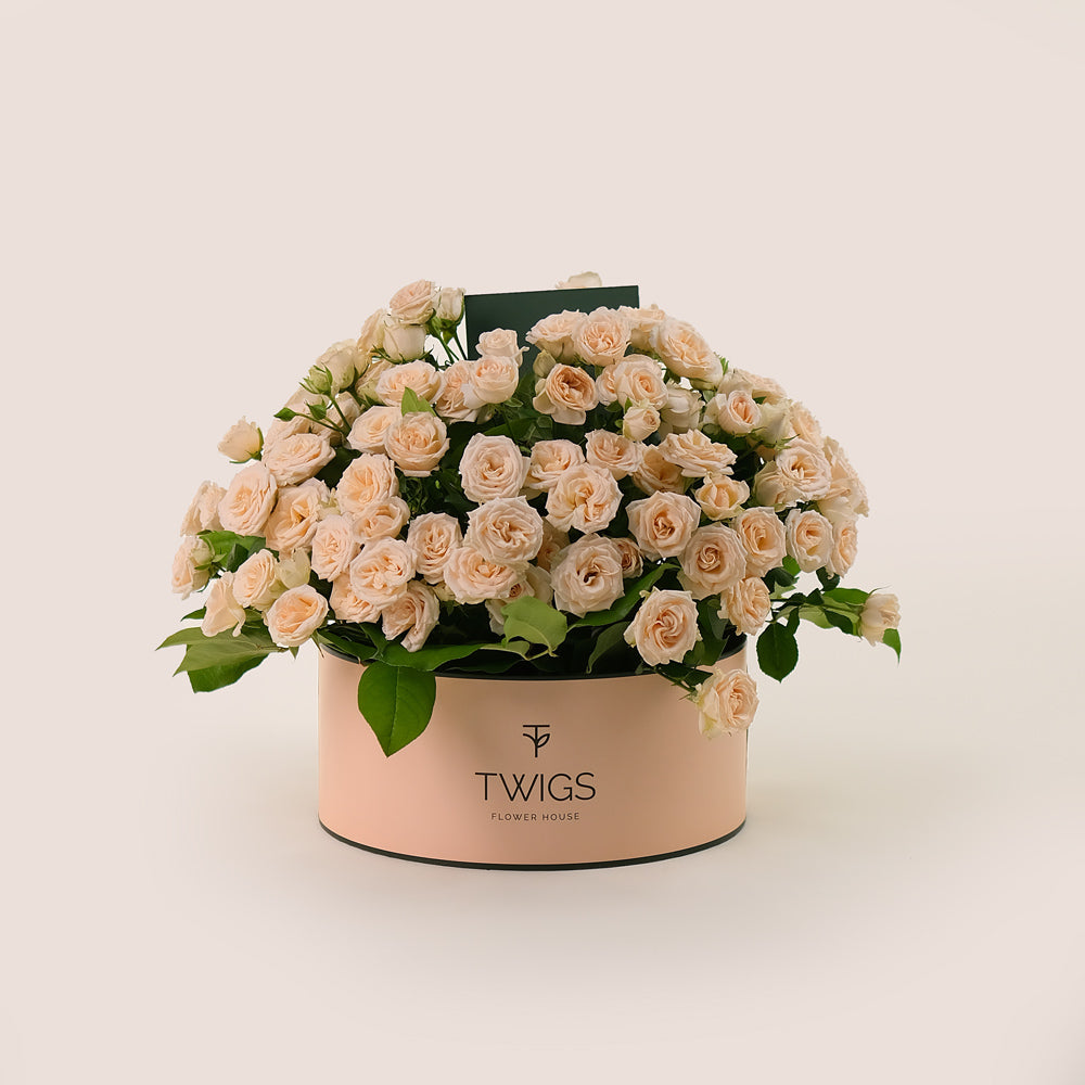 Cream Salinero Roses in a Flower Grande Round Box & Artisanal Chocolate Bundle – A Luxurious Gift of Beauty and Sweetness