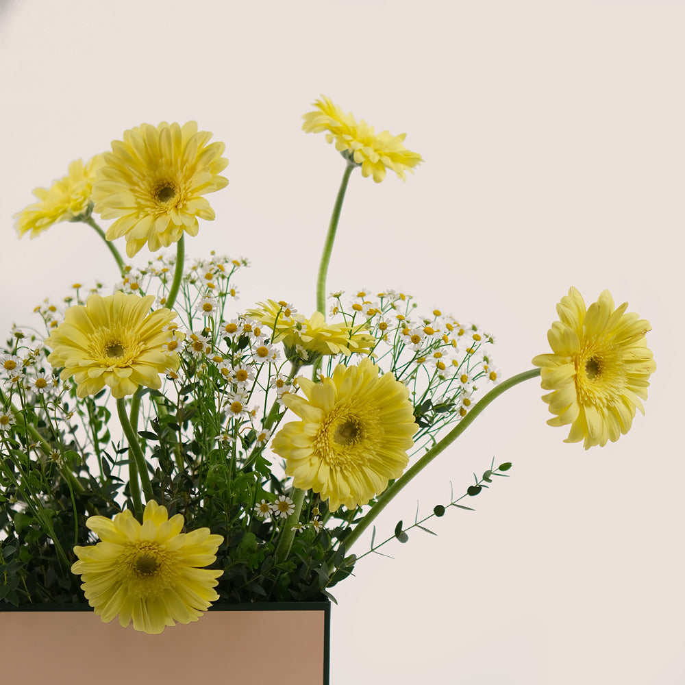 Sunny Delight – Yellow Gerbera & Chamomile Flower Box – A Cheerful and Elegant Floral Gift