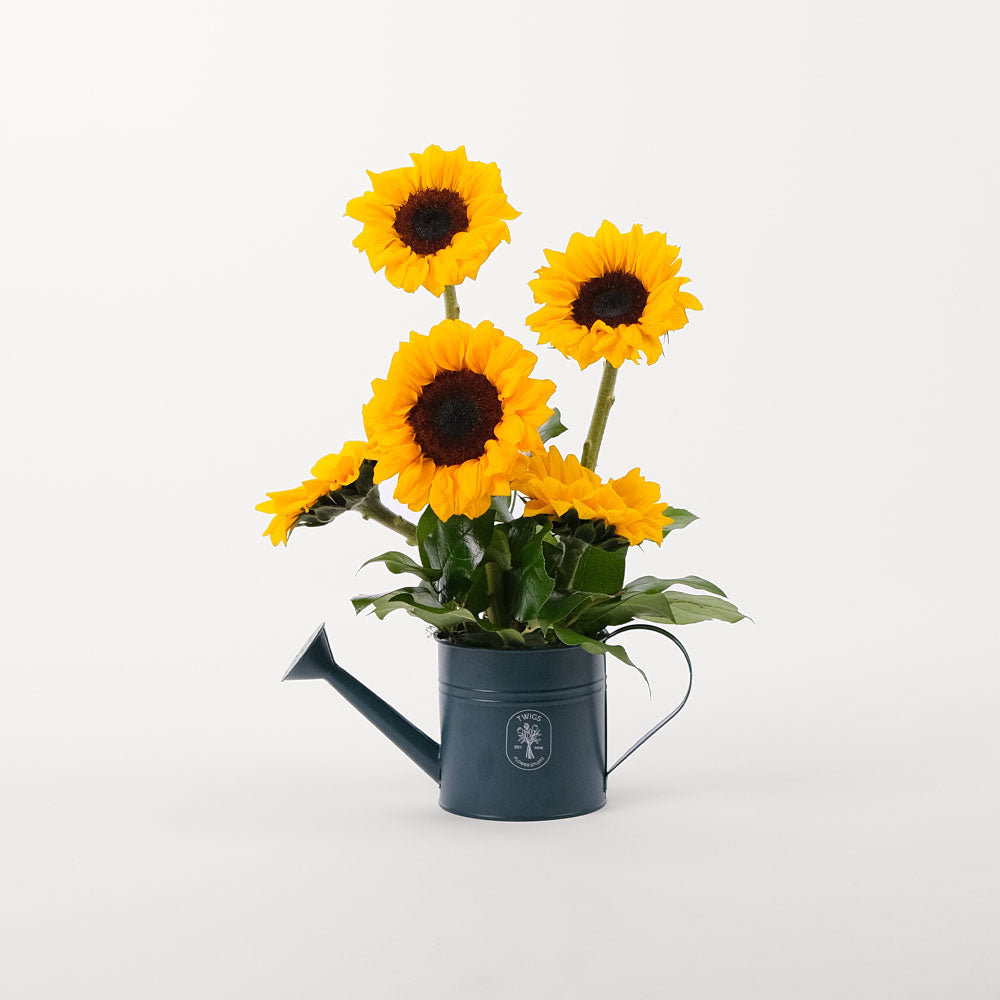 Sunflower Twigs-it Can