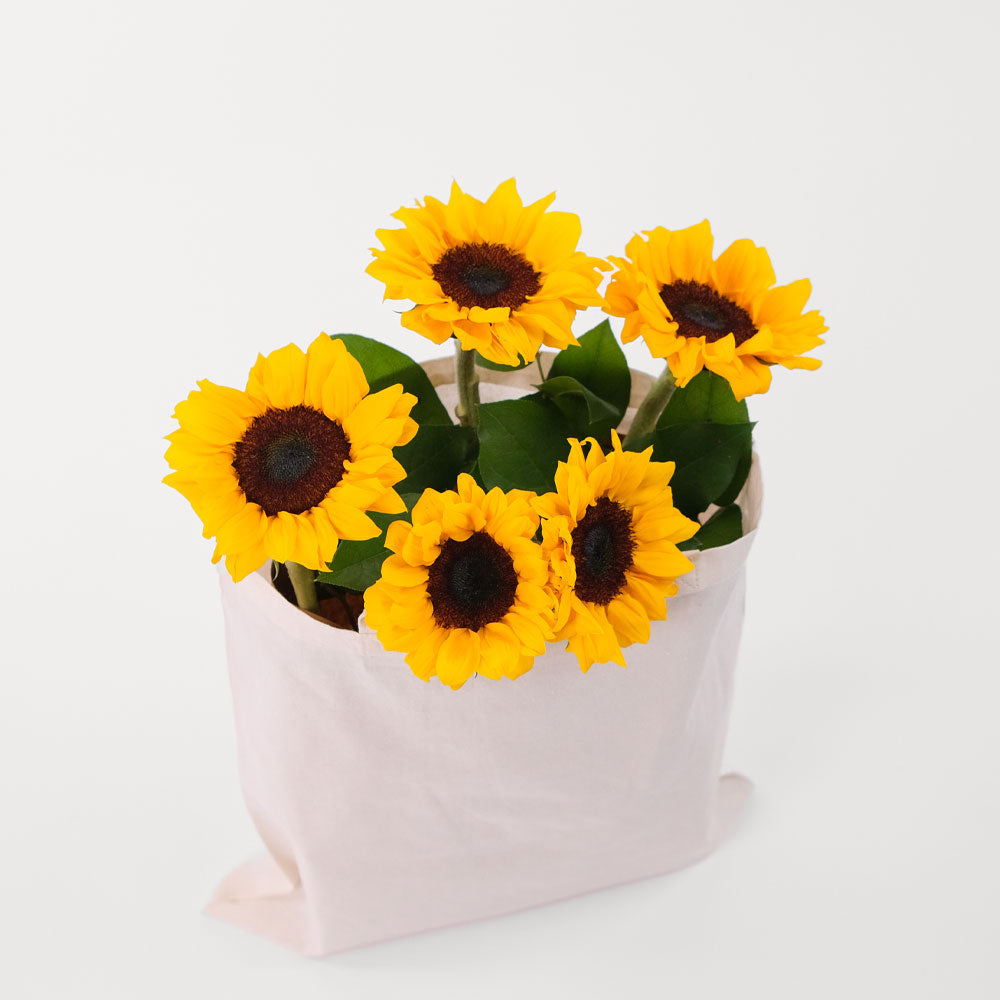 Bag of Sunflowers in a Reusable Canvas Tote – Brighten Their Day with Sunshine and Style