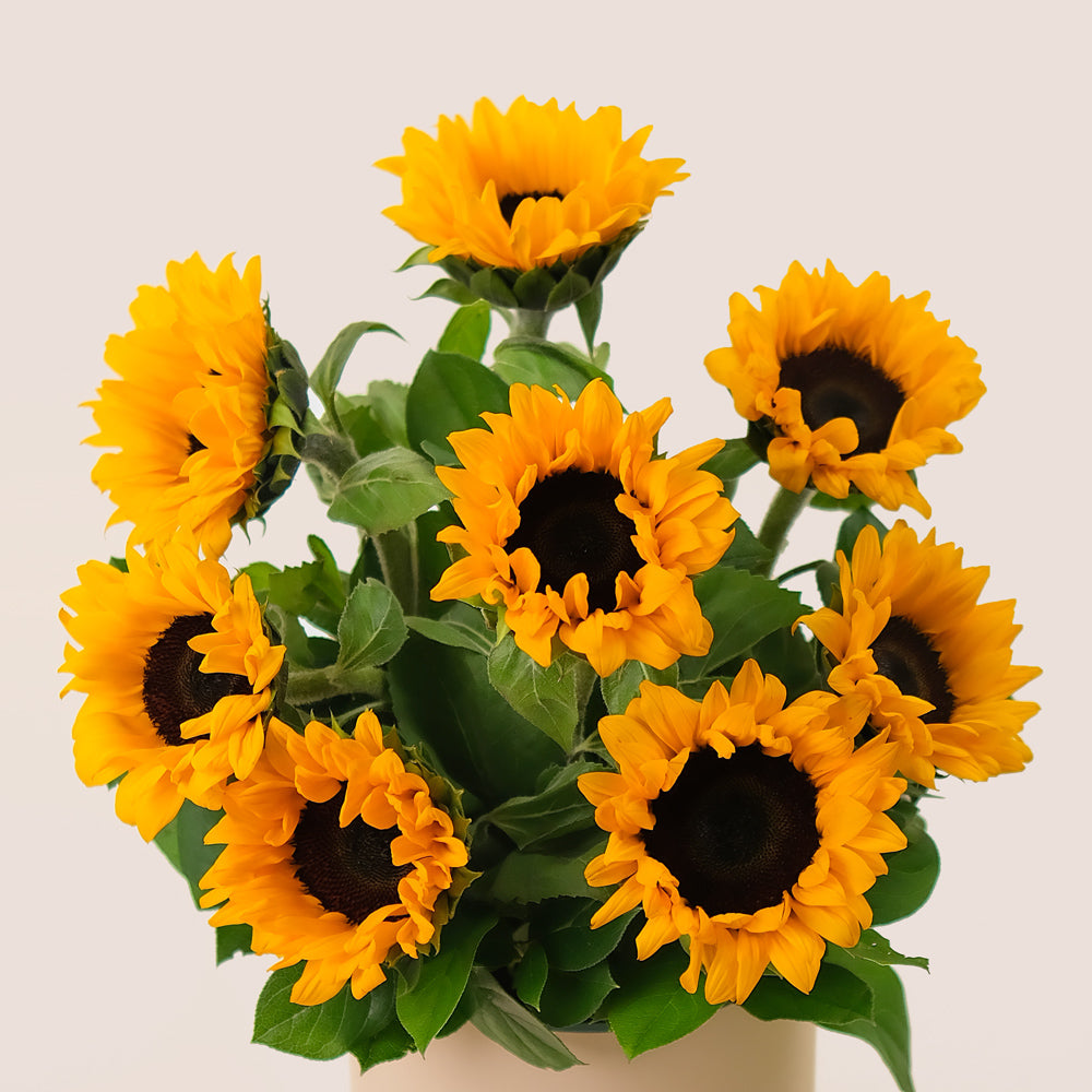 Sunflowers in Deluxe Flower Box – A Radiant Gift with a Heartfelt Message