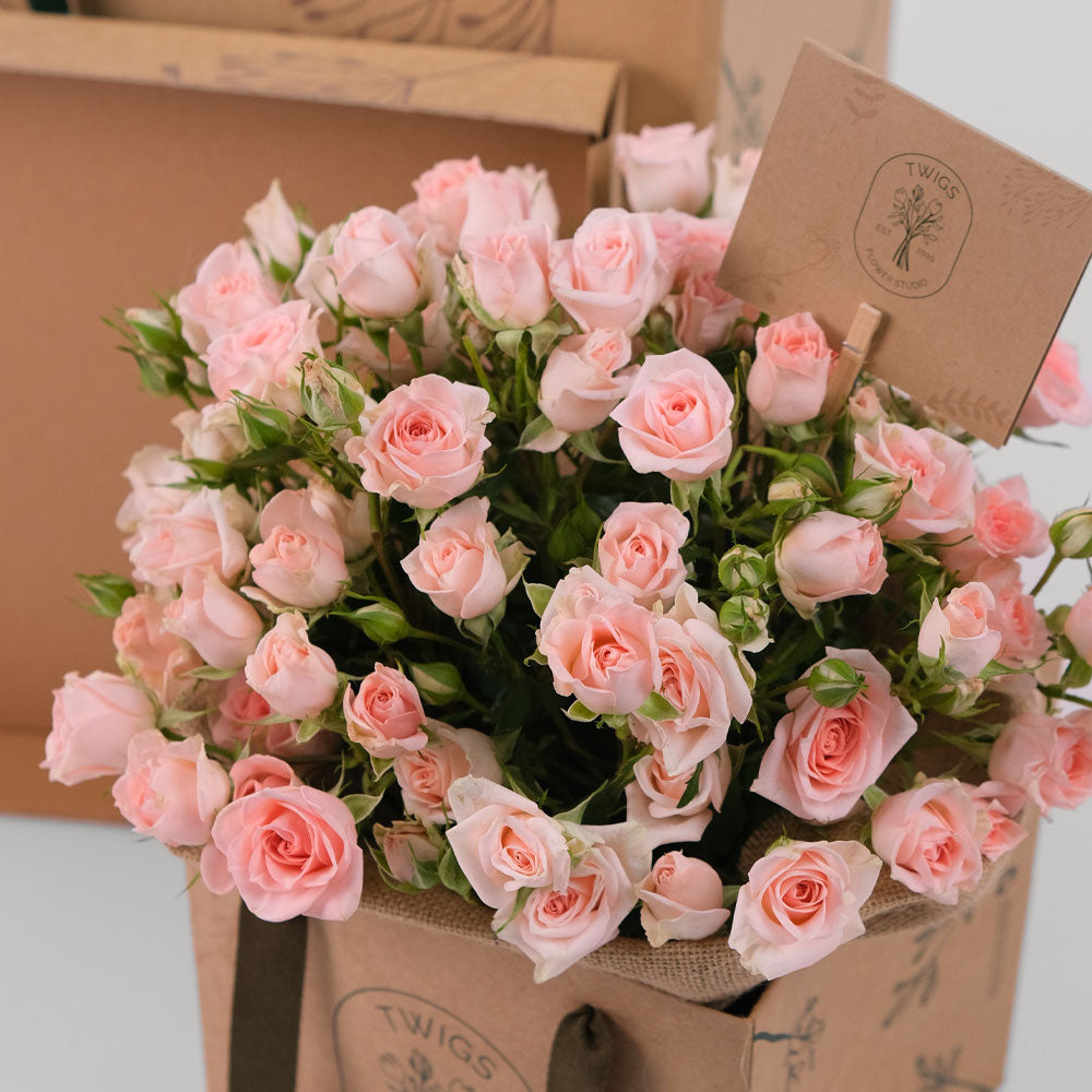 Sweet Sara Spray Rose Surprise Box