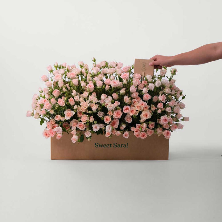 Sweet Sara Spray Rose Flowers Garden Box