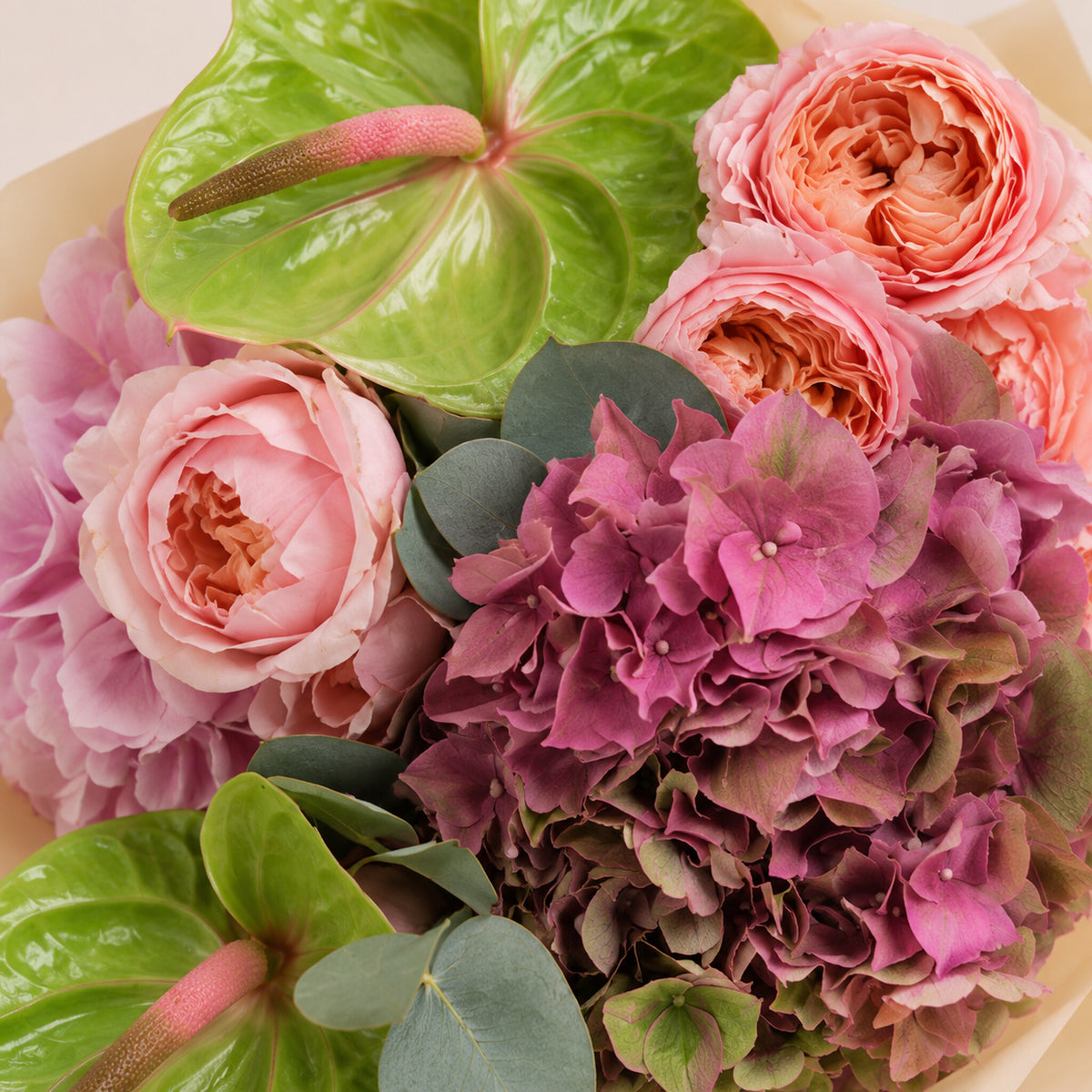 A close-up of a floral arrangement featuring pink peony-like roses, magenta hydrangeas, green anthurium leaves, and eucalyptus leaves in a light beige wrap.